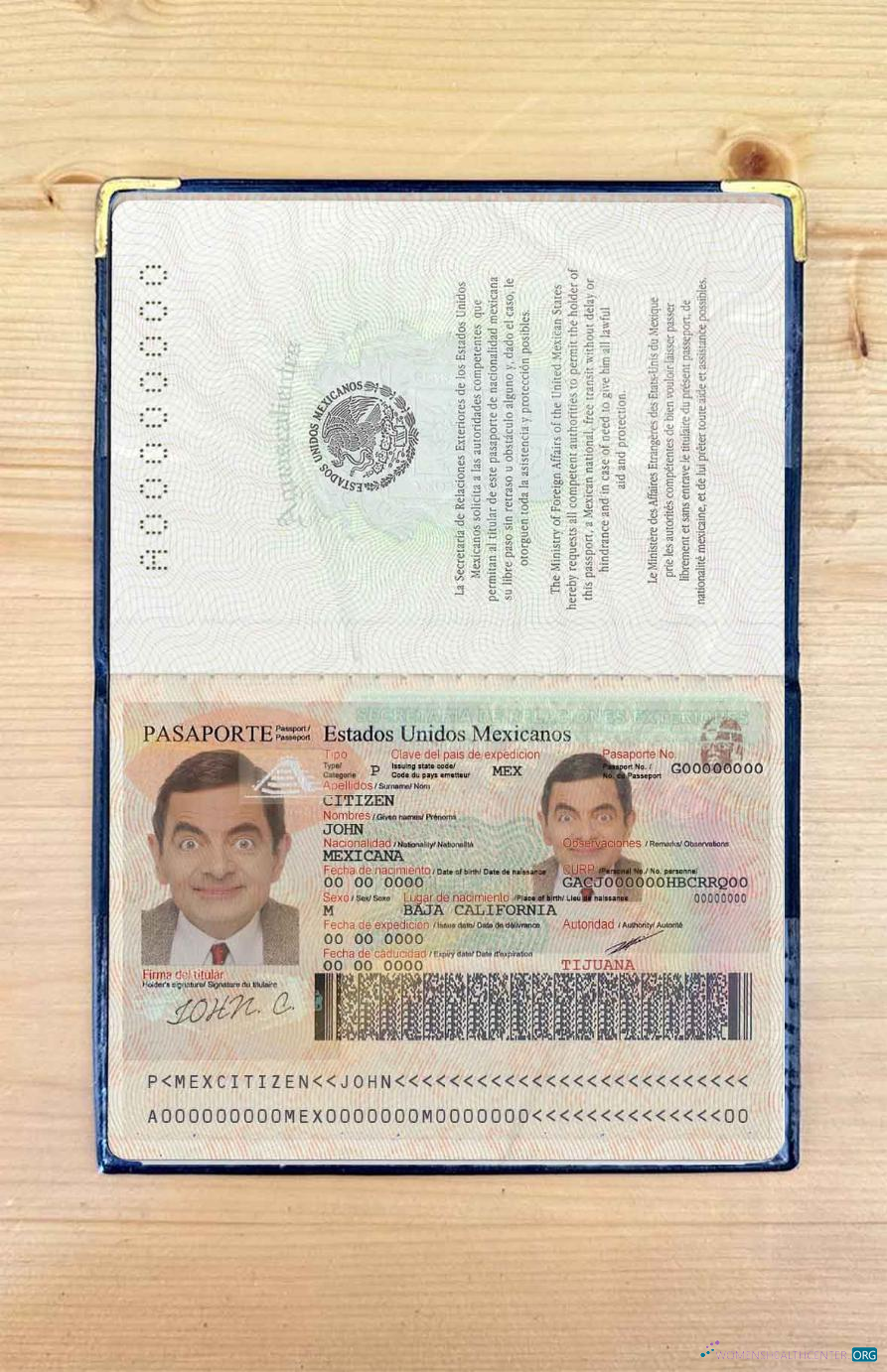 Download Mexico passport photo look Photoshop template